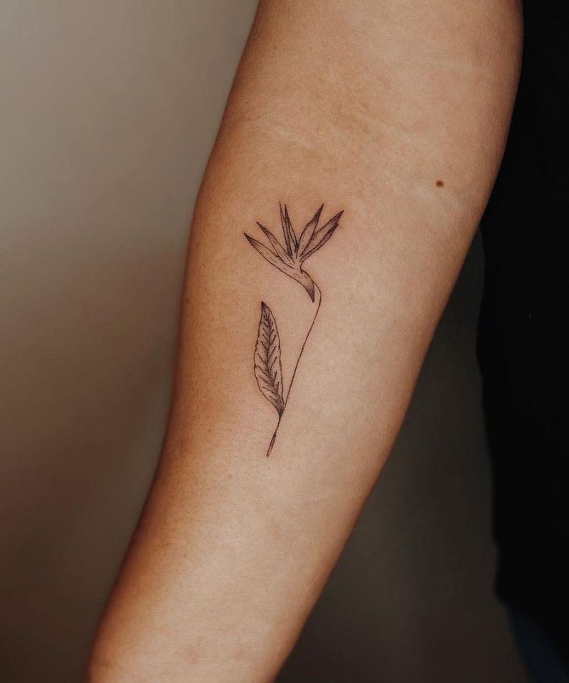 30 Pretty Bird of Paradise Tattoos You Must See