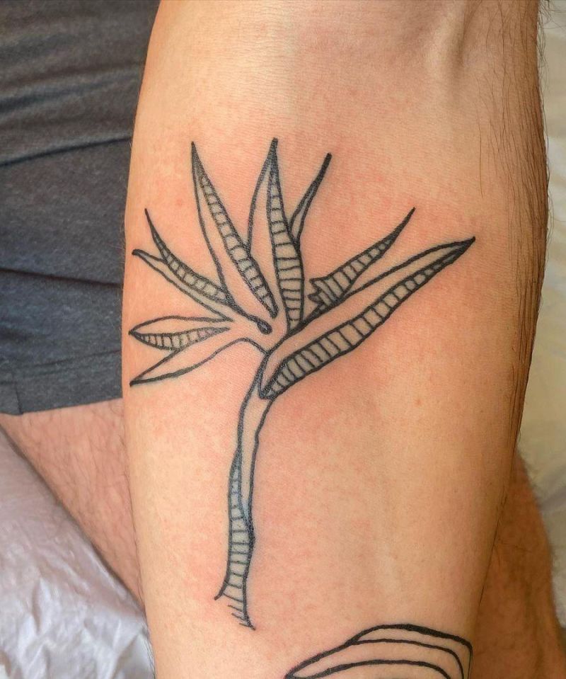 30 Pretty Bird of Paradise Tattoos You Must See