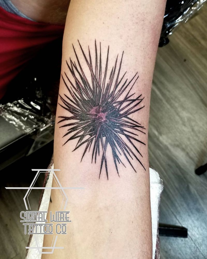 30 Pretty Sea Urchin Tattoos You Can Copy