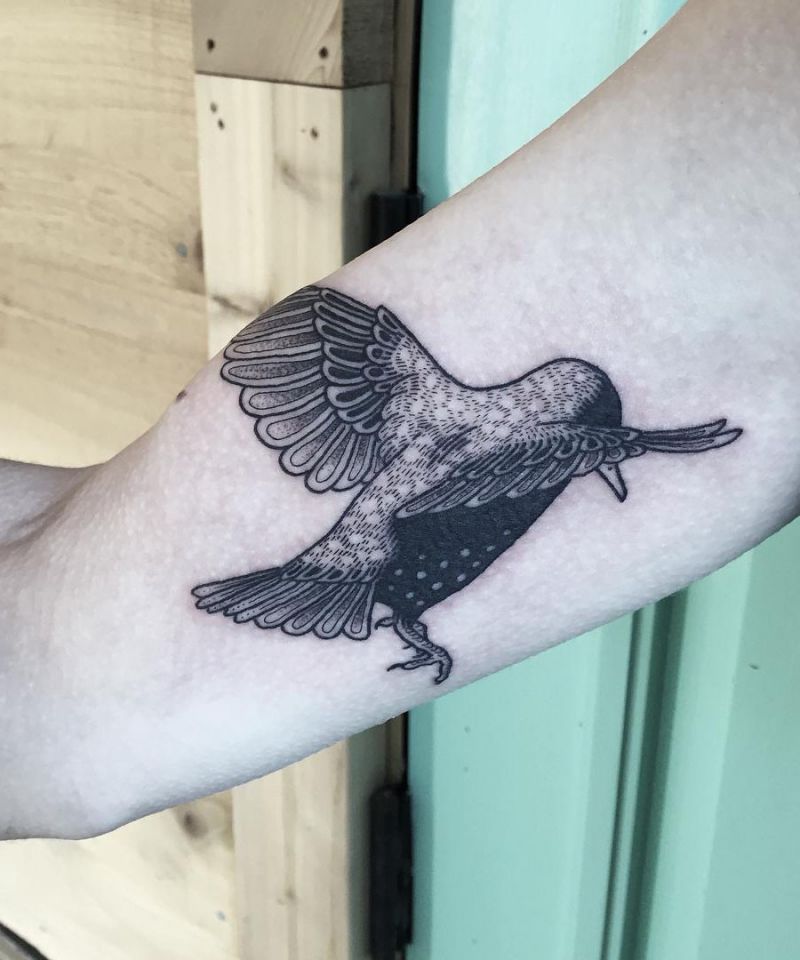 30 Pretty Starling Tattoos You Must Love