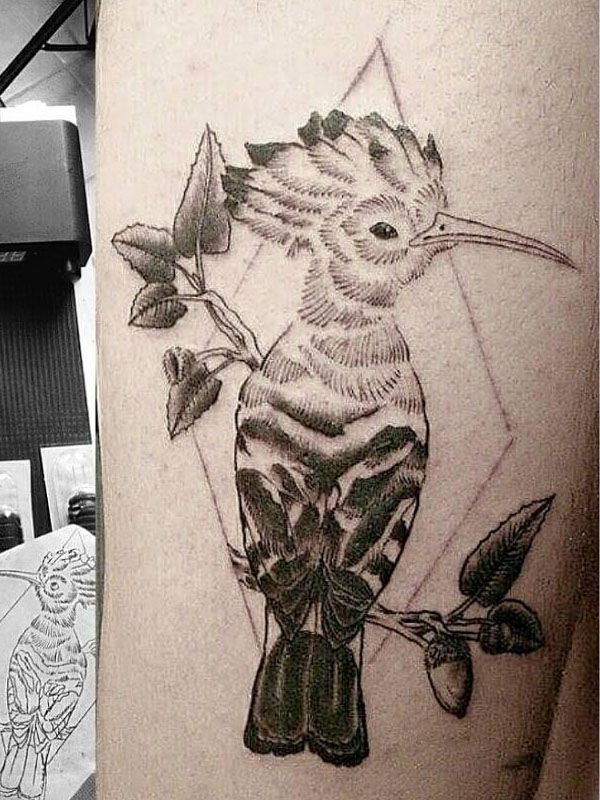 30 Pretty Hoopoe Tattoos You Must Try