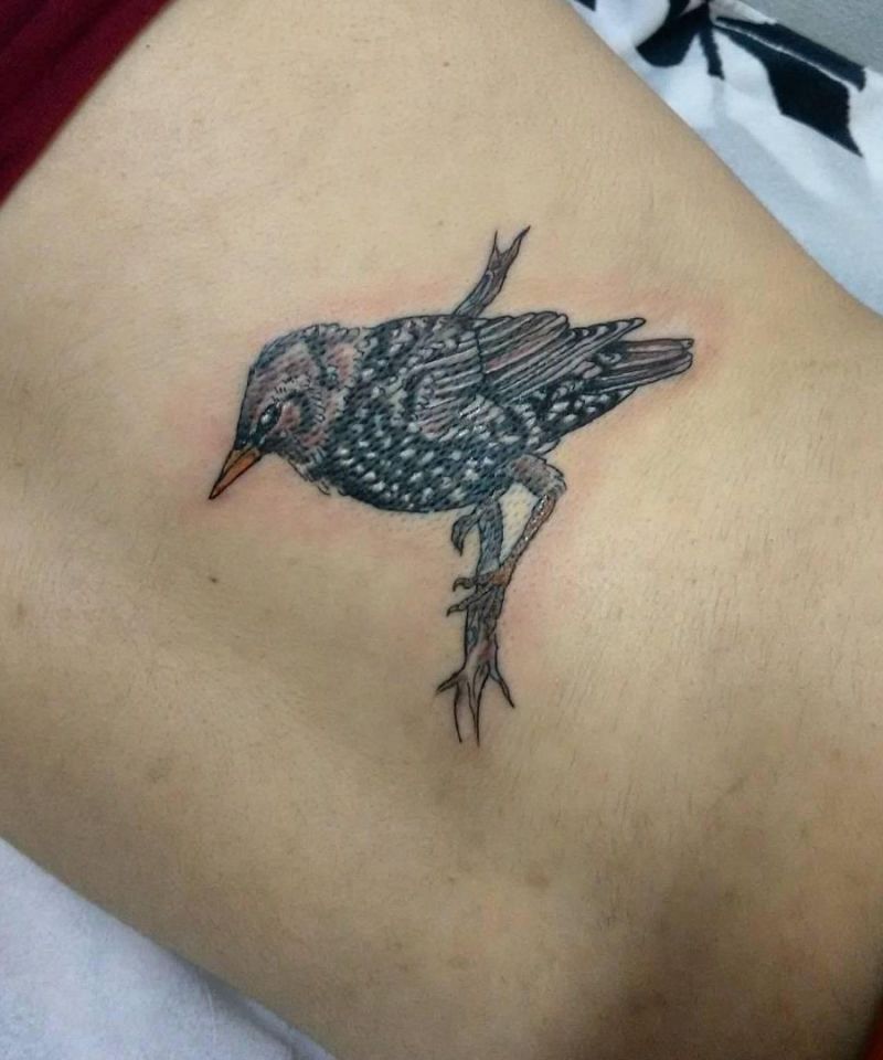 30 Pretty Starling Tattoos You Must Love