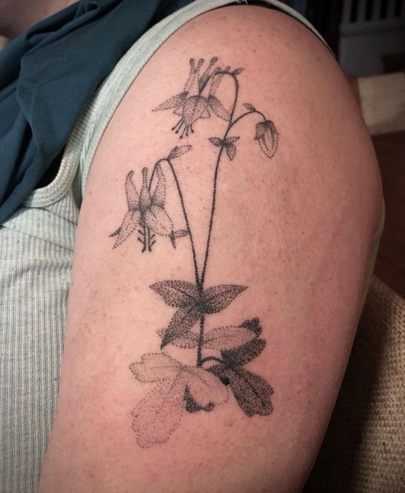 30 Pretty Columbine Tattoos You Will Love