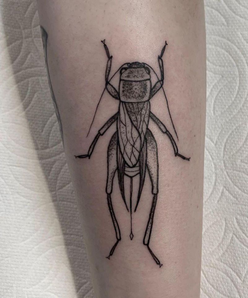 30 Gorgeous Cricket Tattoos You Must See