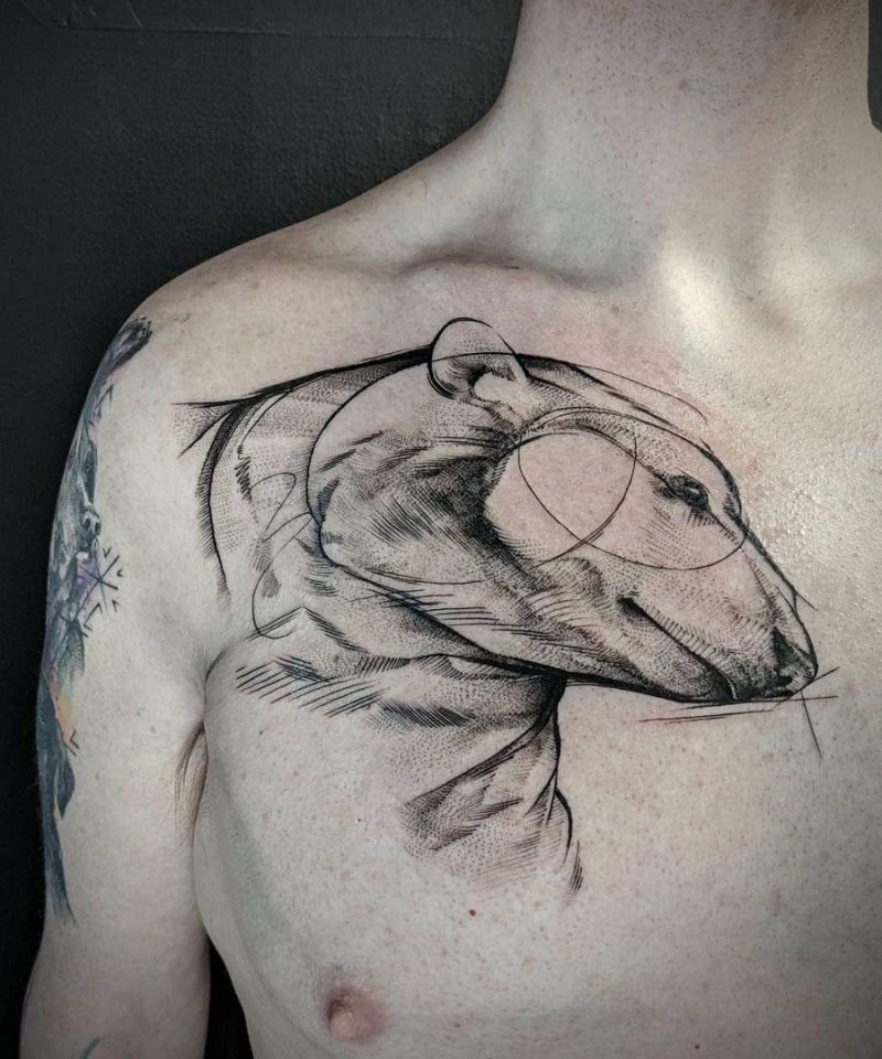 30 Gorgeous Polar Bear Tattoos to Inspire You