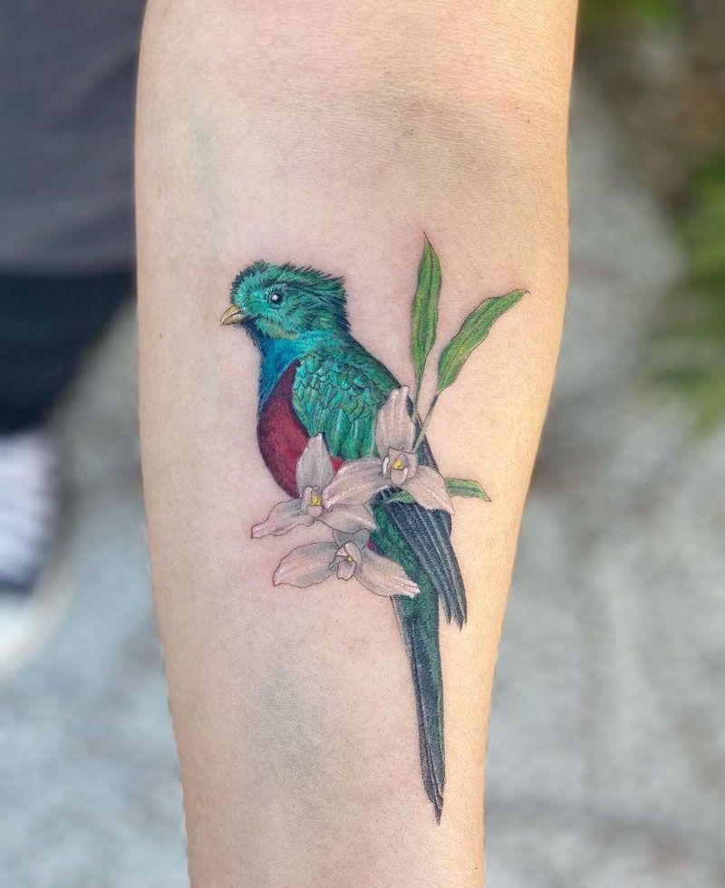 30 Pretty Quetzal Tattoos You Will Love