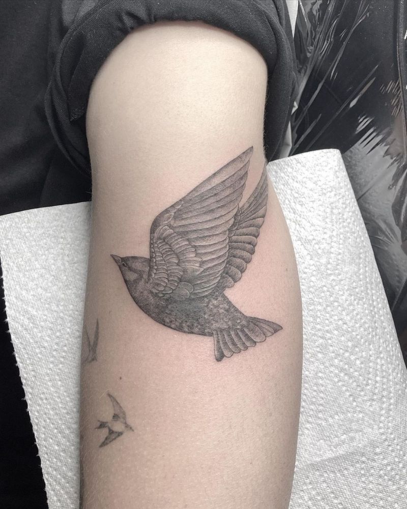 30 Pretty Starling Tattoos You Must Love