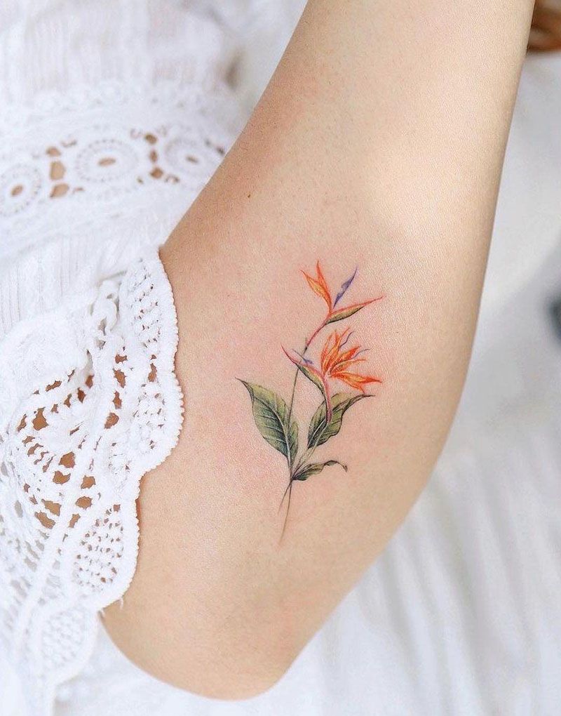 30 Pretty Bird of Paradise Tattoos You Must See