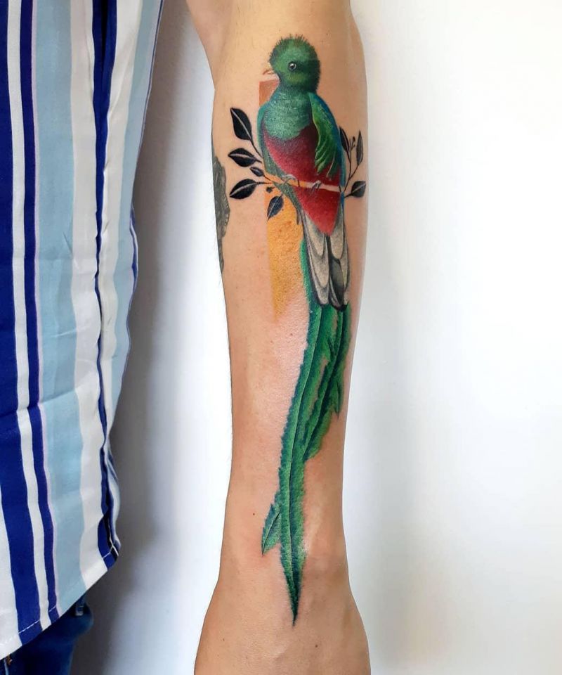 30 Pretty Quetzal Tattoos You Will Love