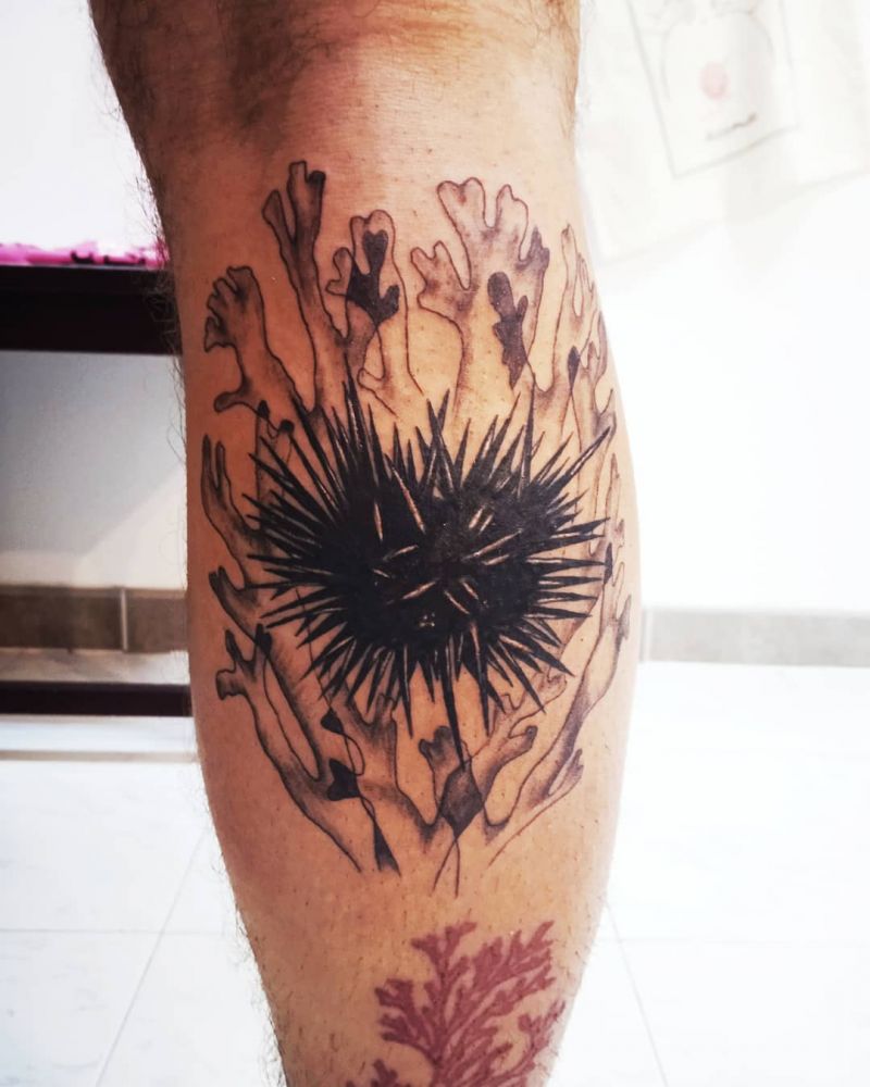 30 Pretty Sea Urchin Tattoos You Can Copy