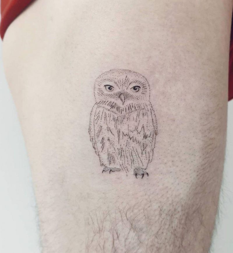 30 Cute Baby Owl Tattoos You Can Copy