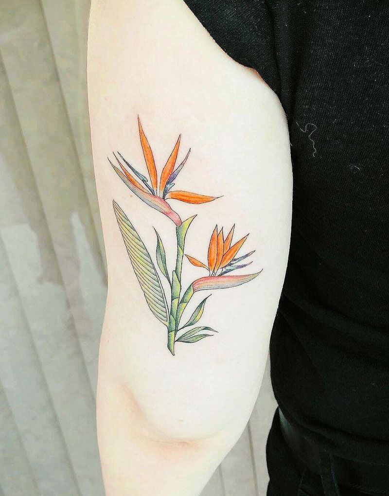 30 Pretty Bird of Paradise Tattoos You Must See
