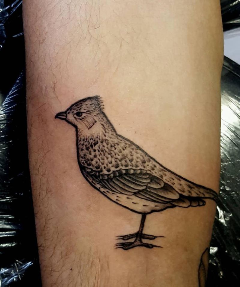 12 Pretty Skylark Tattoos You Can Copy