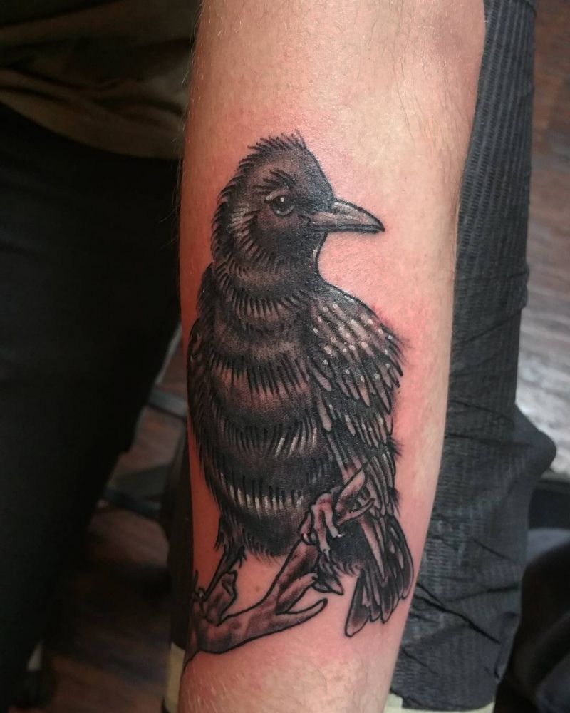 30 Pretty Starling Tattoos You Must Love