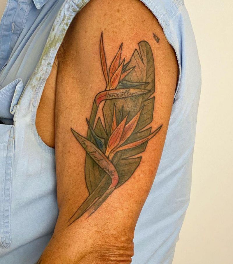 30 Pretty Bird of Paradise Tattoos You Must See