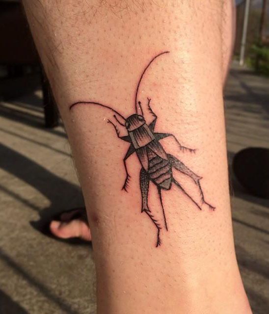 30 Gorgeous Cricket Tattoos You Must See