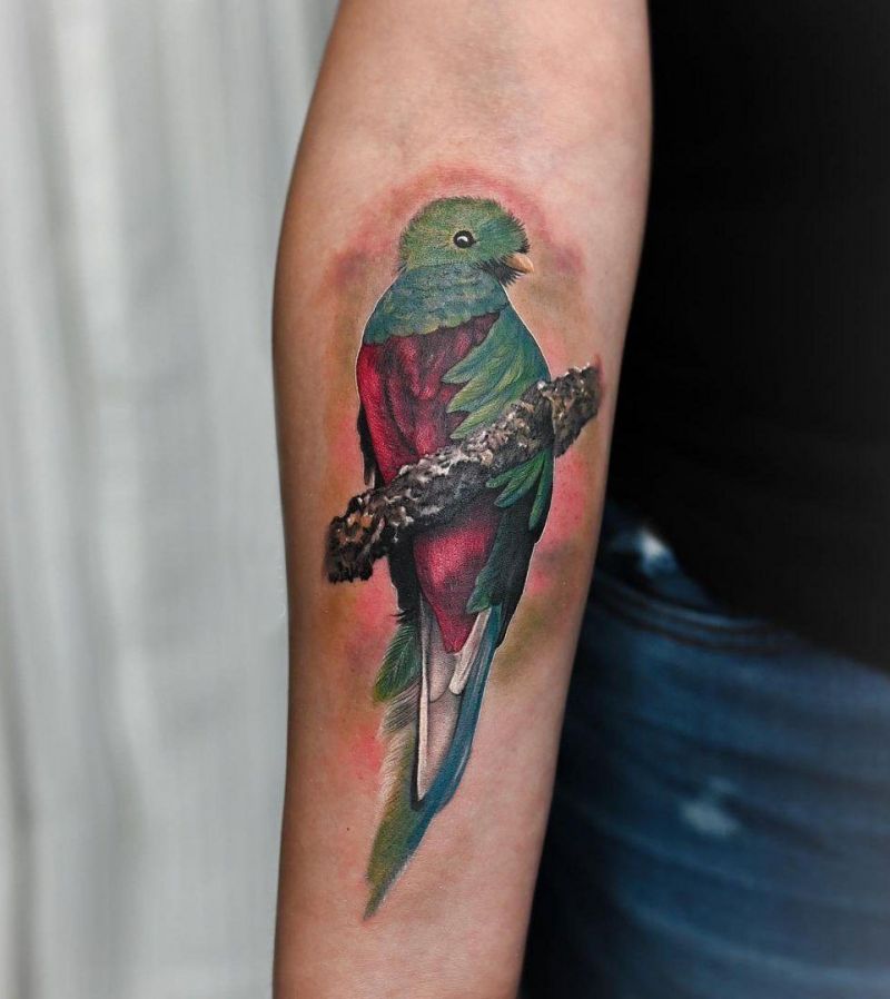 30 Pretty Quetzal Tattoos You Will Love