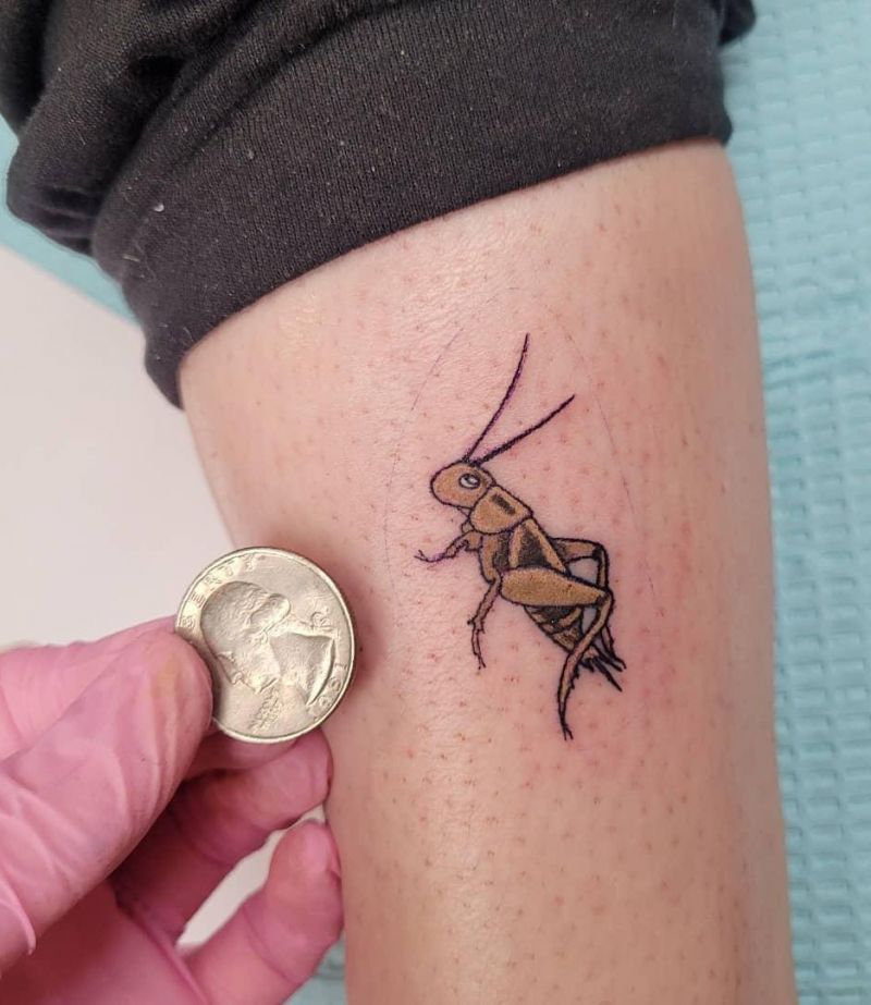 30 Gorgeous Cricket Tattoos You Must See