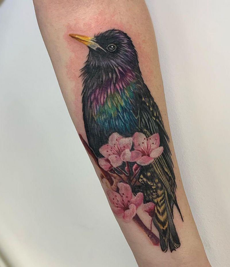 30 Pretty Starling Tattoos You Must Love