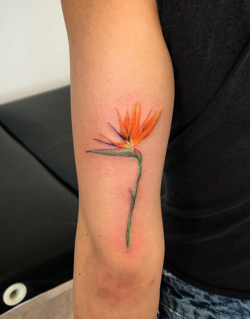 30 Pretty Bird of Paradise Tattoos You Must See
