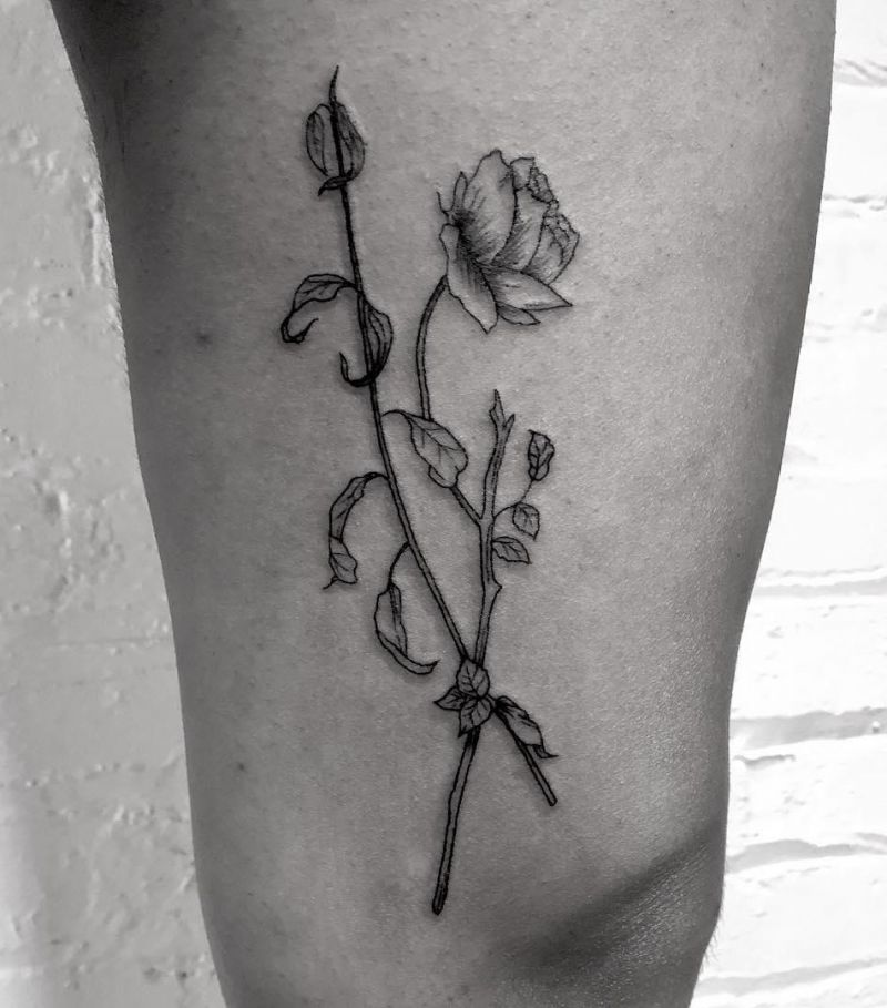 30 Unique Dead Rose Tattoos You Must Love