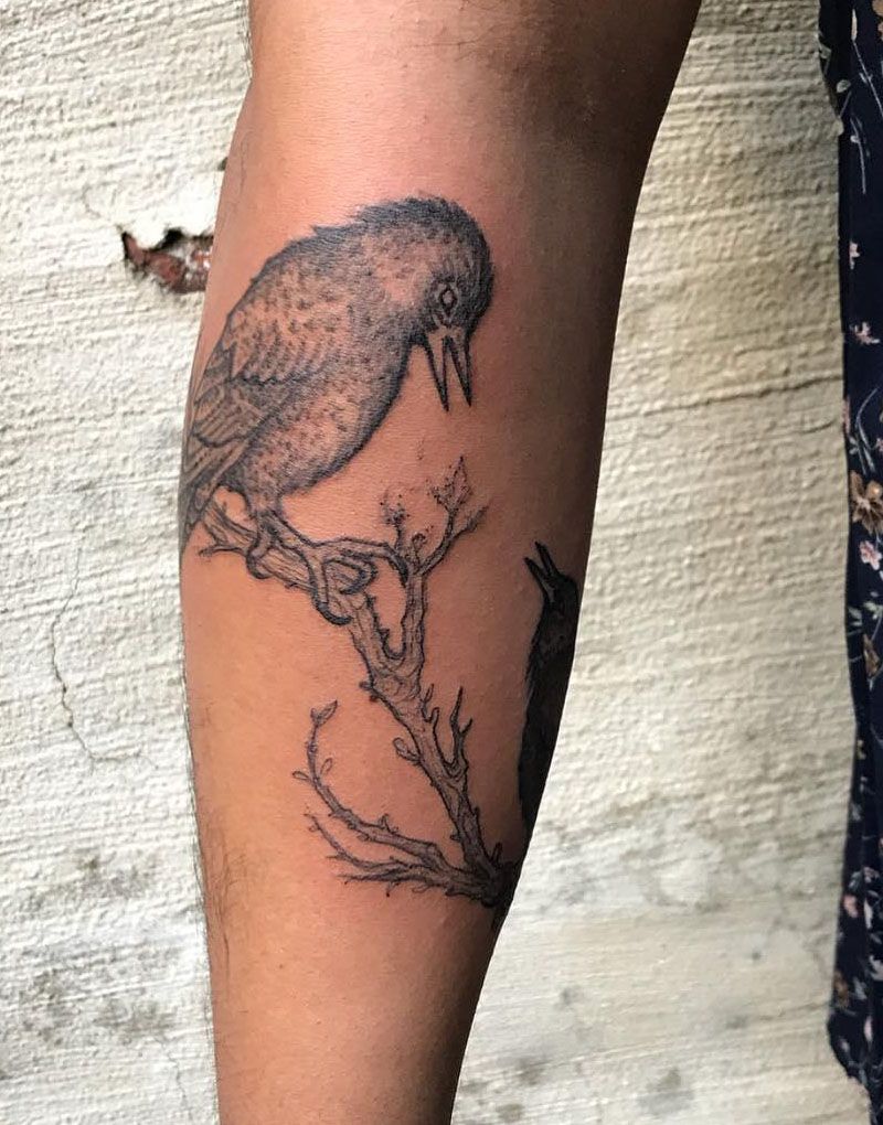 30 Pretty Starling Tattoos You Must Love