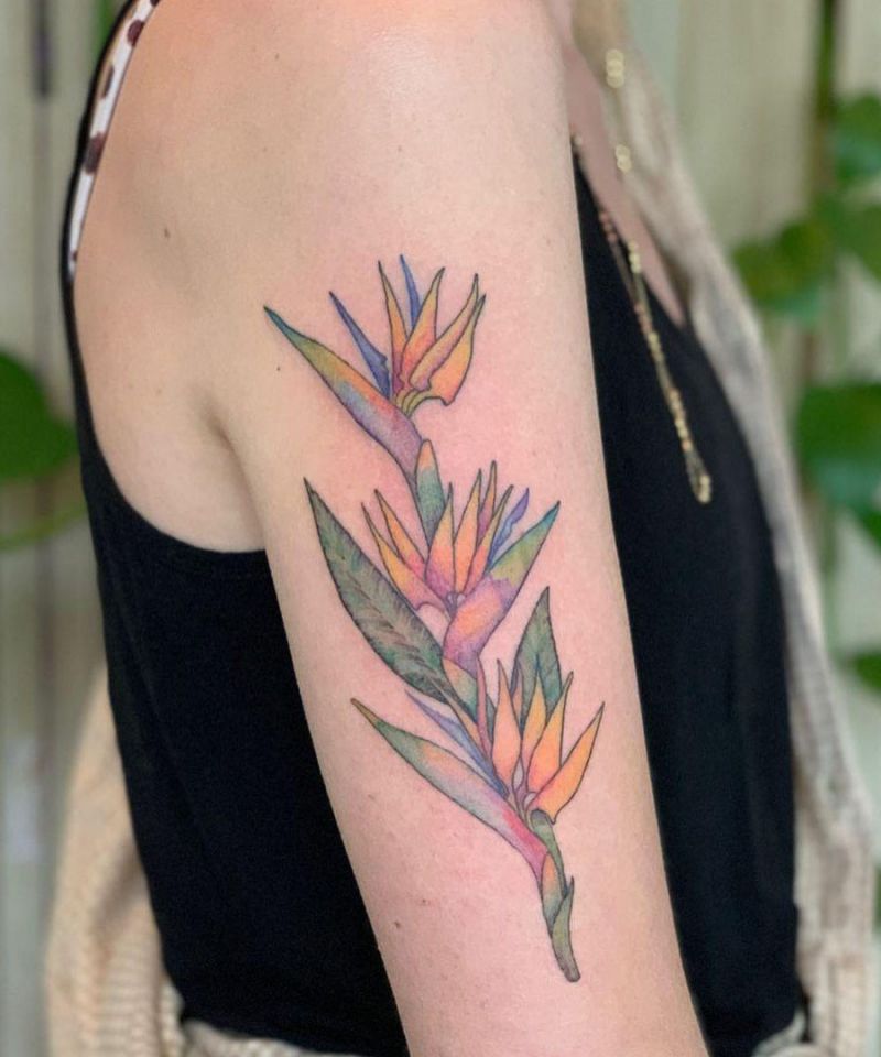 30 Pretty Bird of Paradise Tattoos You Must See