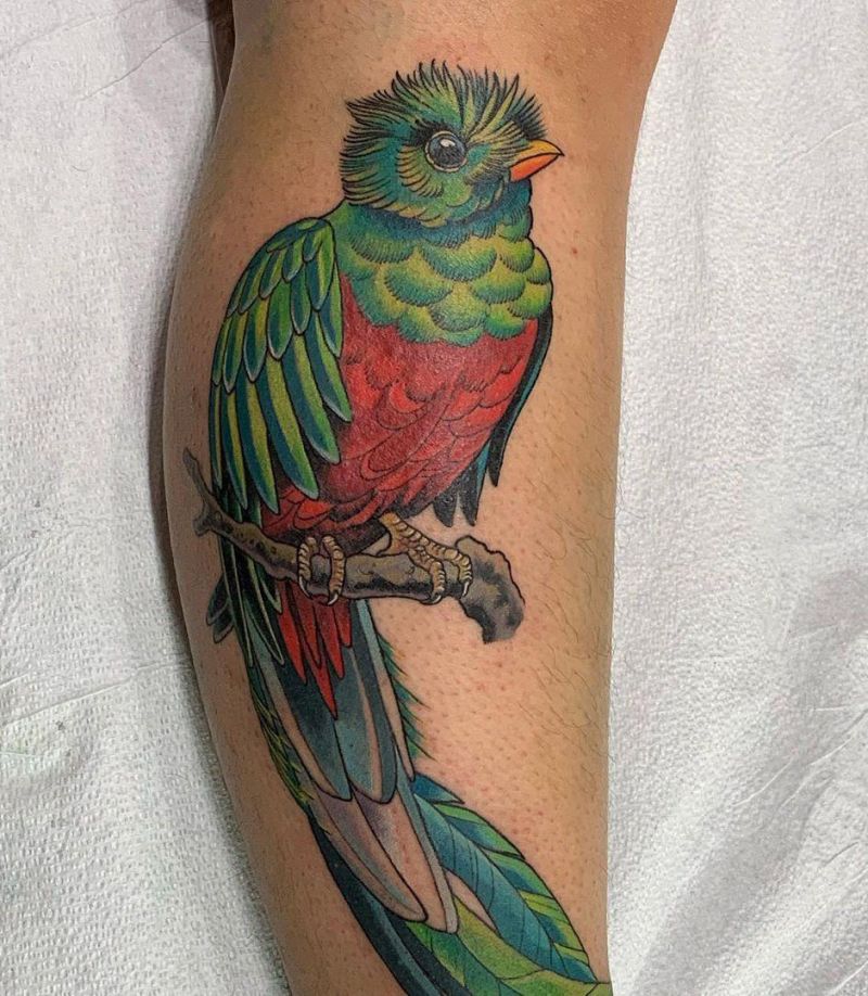 30 Pretty Quetzal Tattoos You Will Love