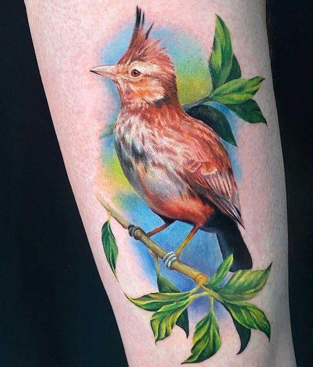 12 Pretty Skylark Tattoos You Can Copy