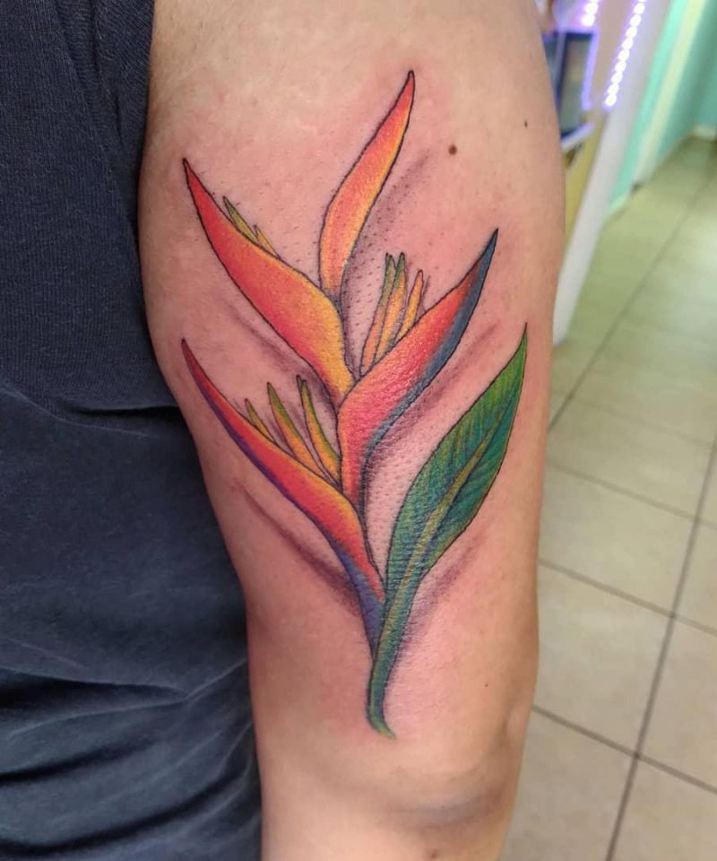 30 Pretty Bird of Paradise Tattoos You Must See