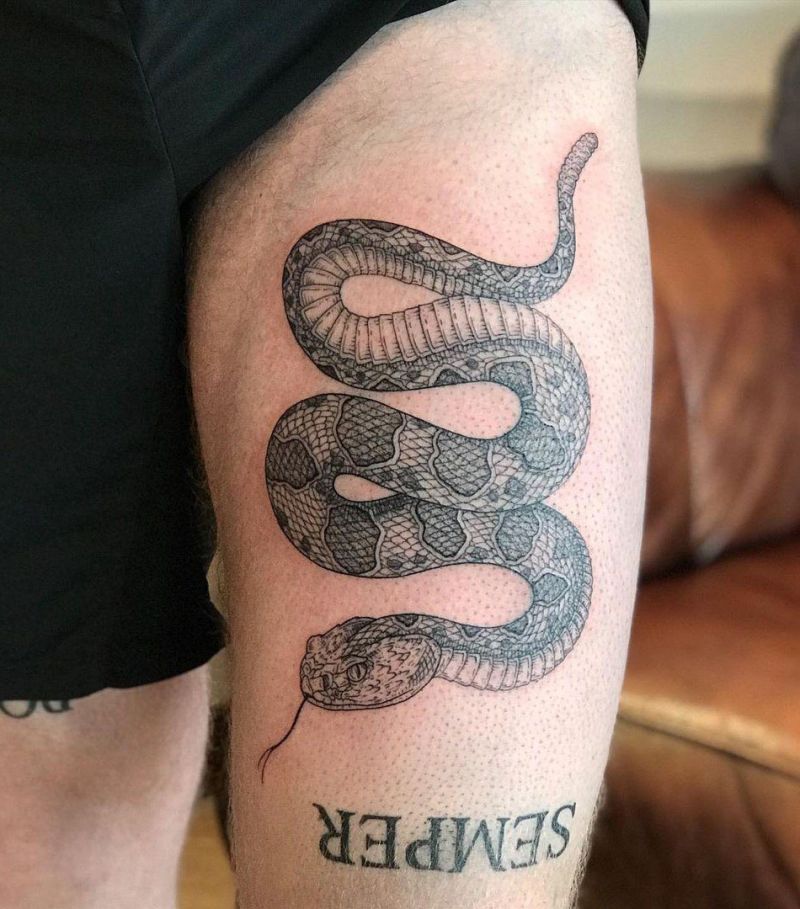 30 Pretty Rattlesnake Tattoos You Can Copy