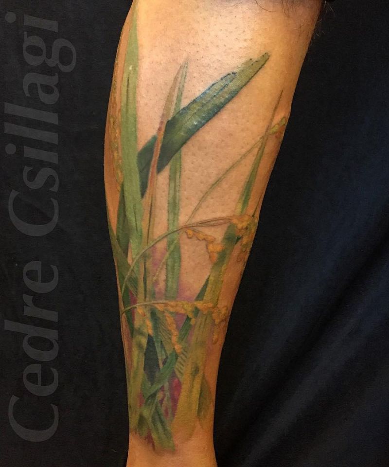 30 Pretty Rice Plant Tattoos You Will Love