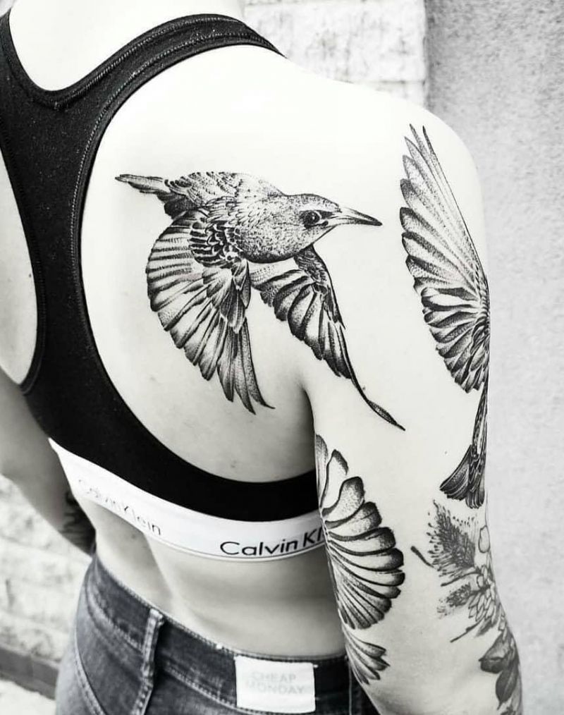 30 Pretty Starling Tattoos You Must Love