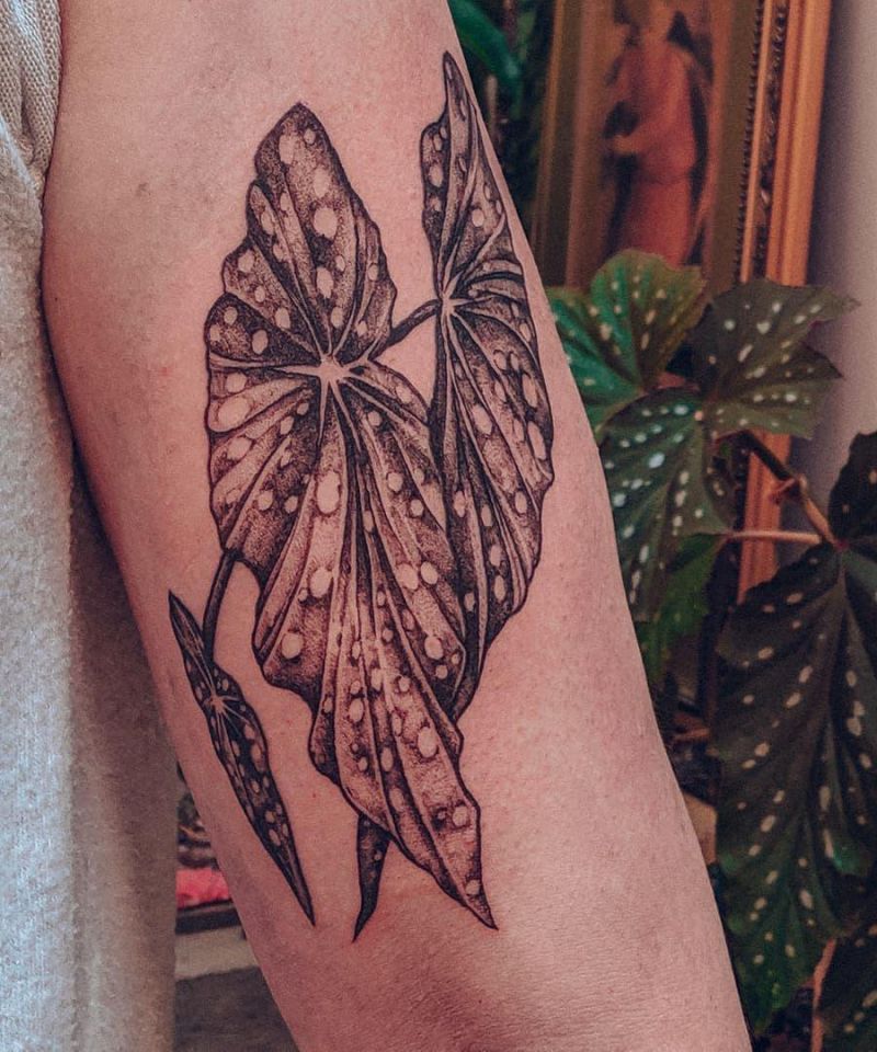 30 Unique Begonia Tattoos For Your Next Ink