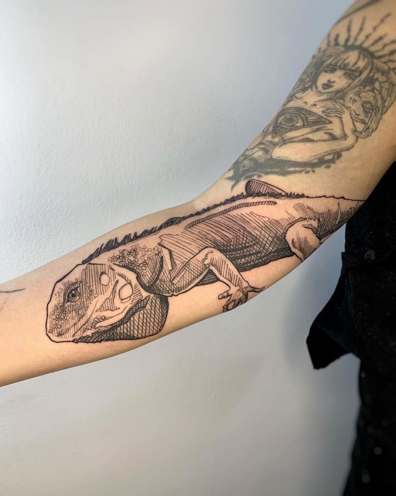 30 Pretty Iguana Tattoos You Will Love