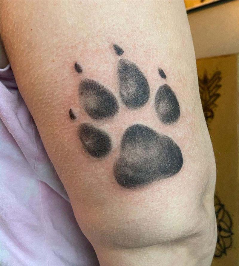 30 Paw Print You Must Try | Style VP