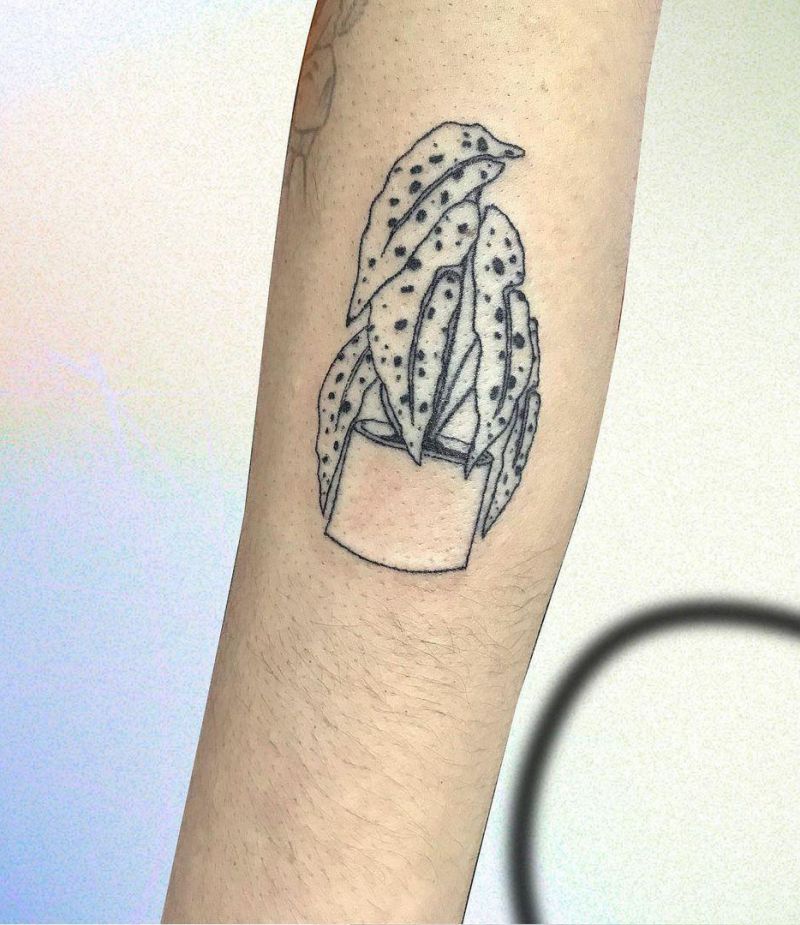 30 Unique Begonia Tattoos For Your Next Ink