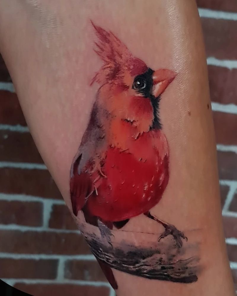 30 Unique Cardinal Tattoos to Inspire You