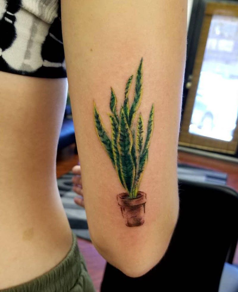 30 Unique Potted Plant Tattoos For Your Next Ink