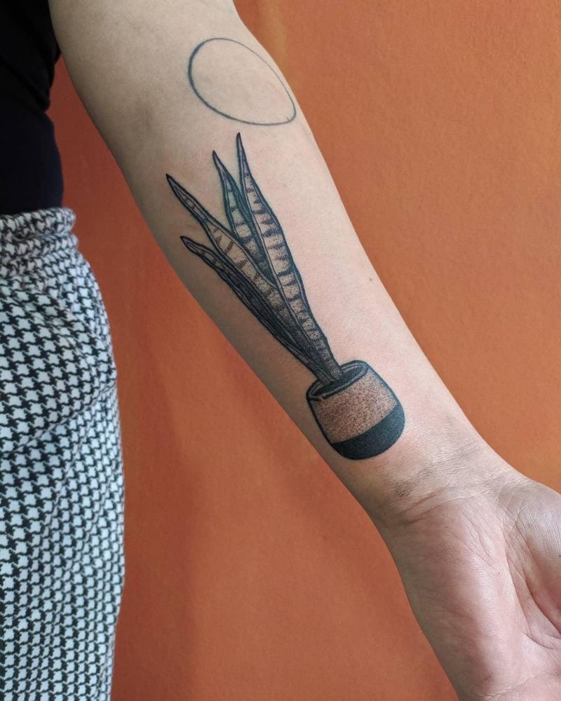 30 Unique Snake Plant Tattoos You Must Try