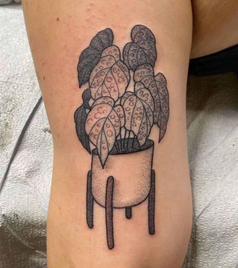 30 Unique Begonia Tattoos For Your Next Ink