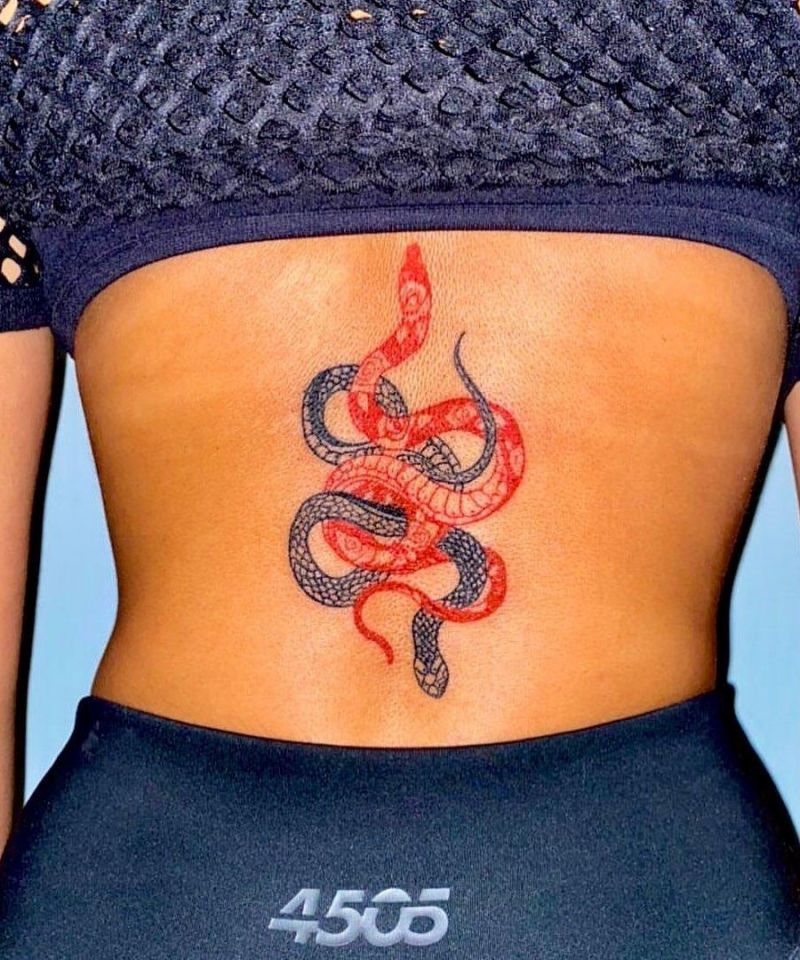 30 Cool Two Snakes Tattoos You Will Love