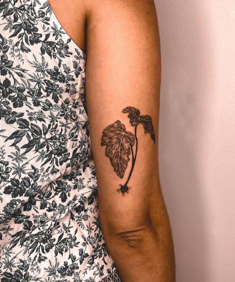 30 Unique Begonia Tattoos For Your Next Ink