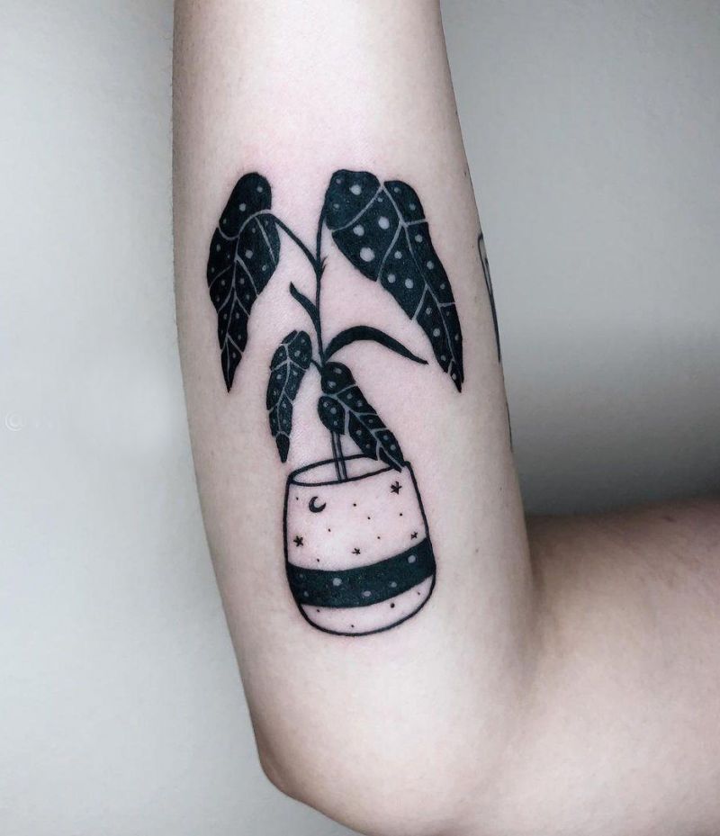 30 Unique Begonia Tattoos For Your Next Ink