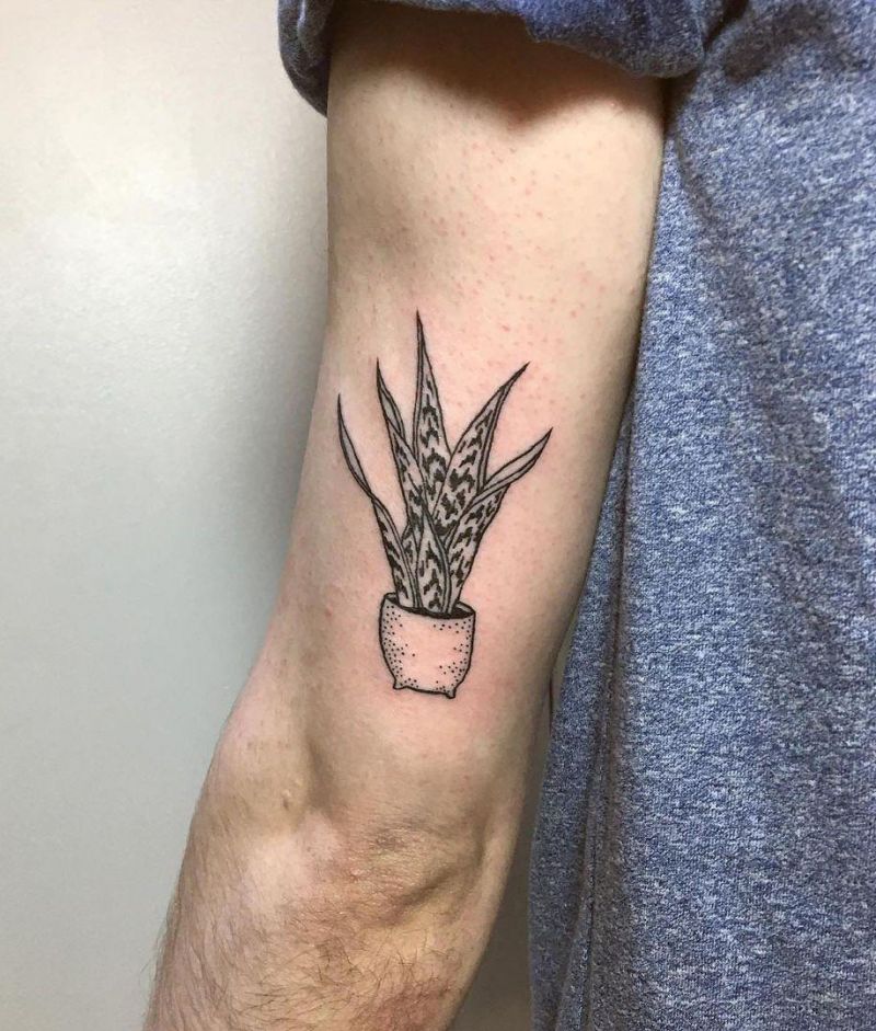 30 Unique Snake Plant Tattoos You Must Try