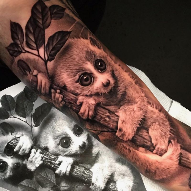 30 Unique Slow Loris Tattoos You Can Copy