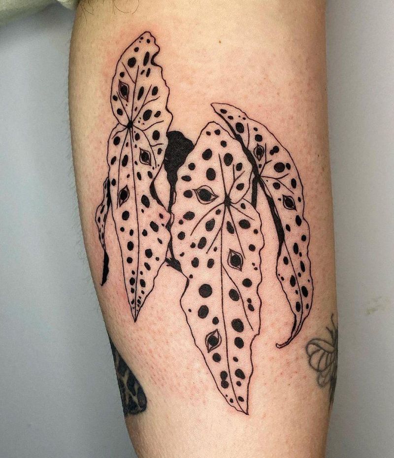 30 Unique Begonia Tattoos For Your Next Ink Style VP Page 19
