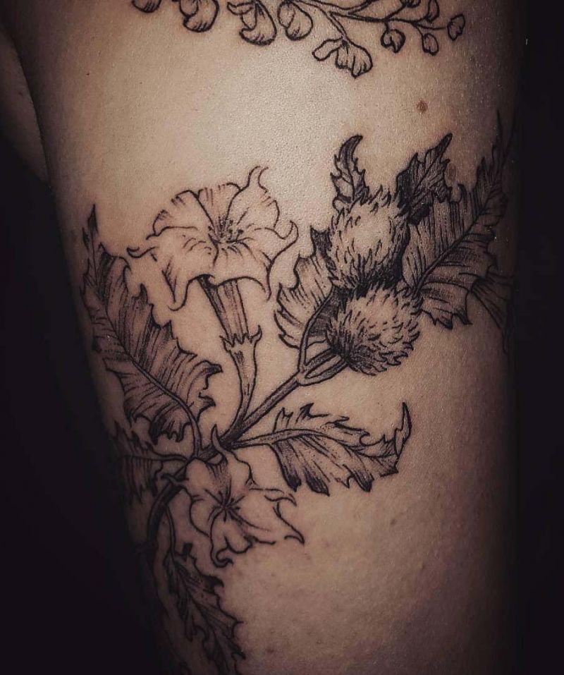 30 Unique Datura Tattoos to Inspire You