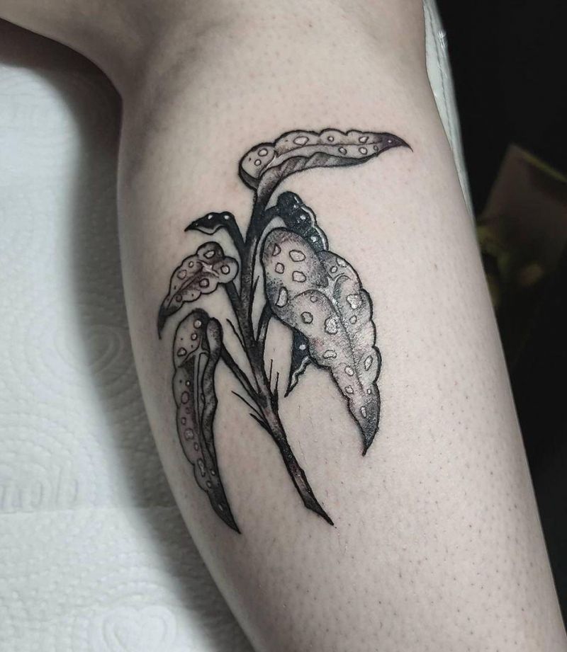 30 Unique Begonia Tattoos For Your Next Ink