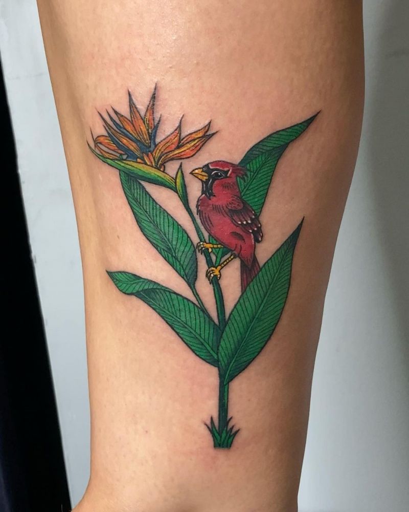 30 Unique Cardinal Tattoos to Inspire You